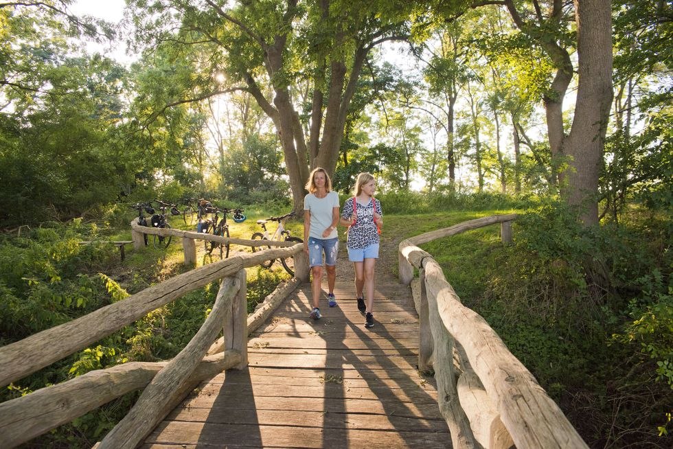 Brug naar de observatietoren, © C. Drühl/Tourist-Info