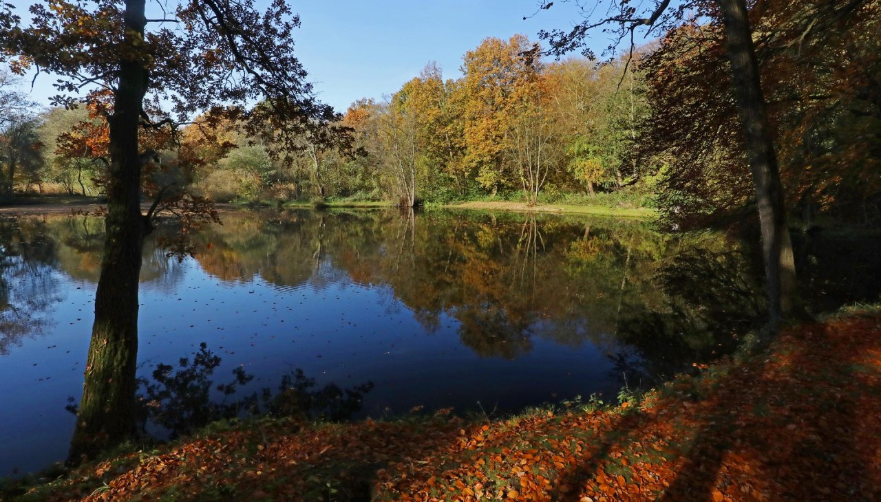 Landschaftsschutzgebiet Bekow_5, © TMV/Gohlke Landschaftsschutzgebiet Bekow_5, © TMV/Gohlke