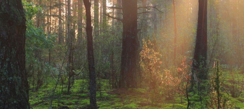 Zeit zum Durchatmen // © Christina Blohm Zeit zum Durchatmen // © Christina Blohm