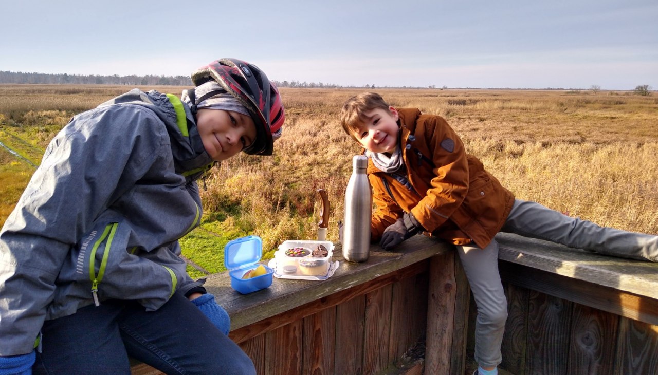 Curious explorers in the Hütelmoor NSG, © Olaf Schätzchen Curious explorers in the Hütelmoor NSG, © Olaf Schätzchen