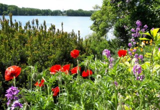 ein Garten am See // &copy; adfc-Schwerin