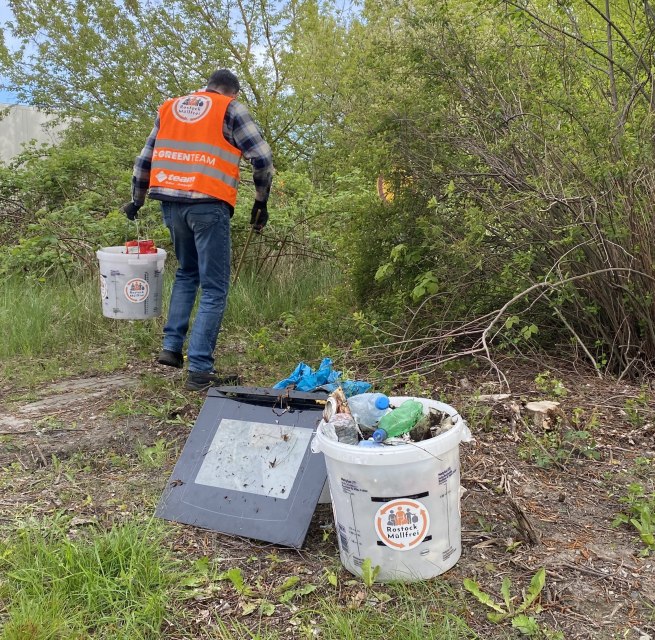 Helper collects garbage in green area, &copy; Rostock M&uuml;llfrei e.V.