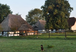 Paardenboerderij Schwalbennest: Uitzicht op onze kleine, door een familie gerunde manege in Jörnstorf, waar jij en je huisdieren van harte welkom zijn., © Pferdehof Schwalbennest/ Rauth