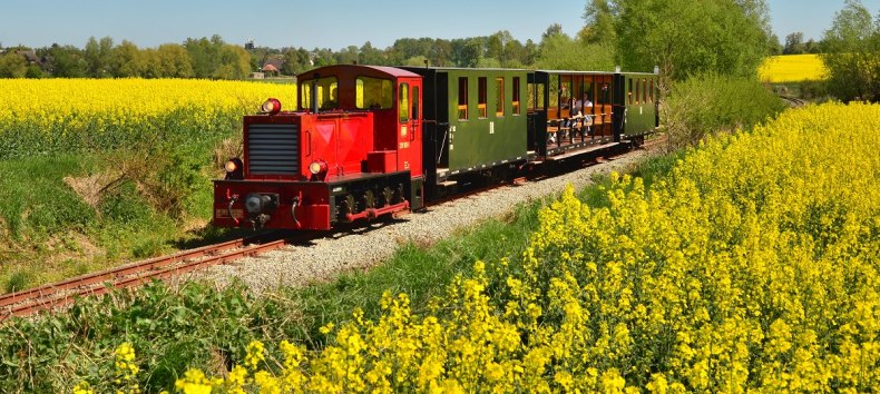 Lok im Rapsfeld // © Bernd Lotzow Lok im Rapsfeld // © Bernd Lotzow