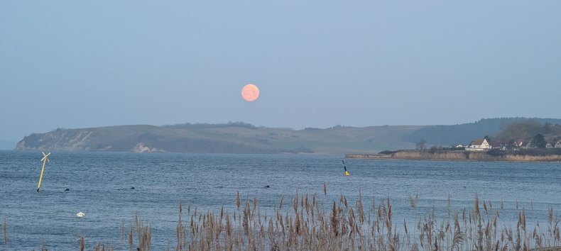 &copy; Kurverwaltung M&ouml;nchgut