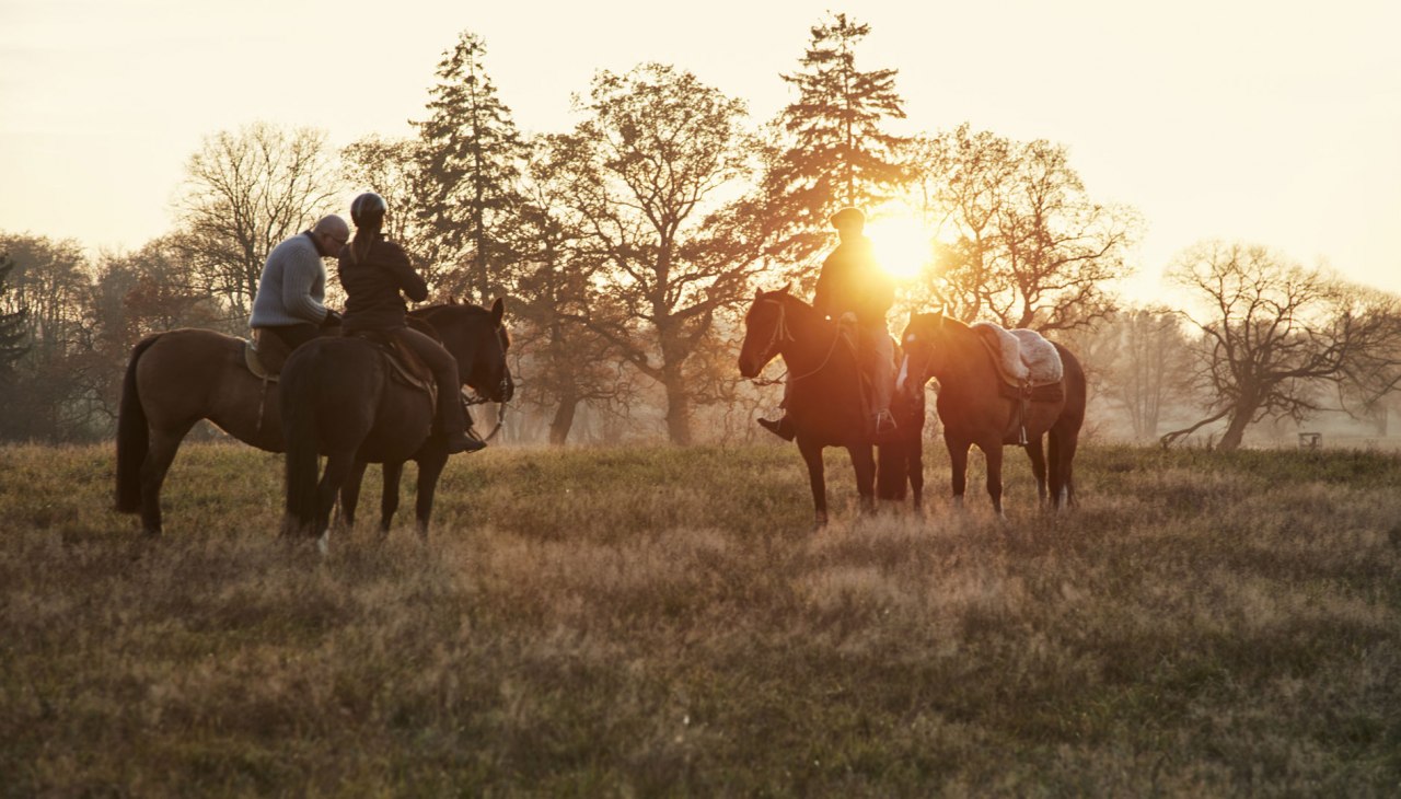 Przejażdżki w stylu zachodnim, © Cavalan Przejażdżki w stylu zachodnim, © Cavalan