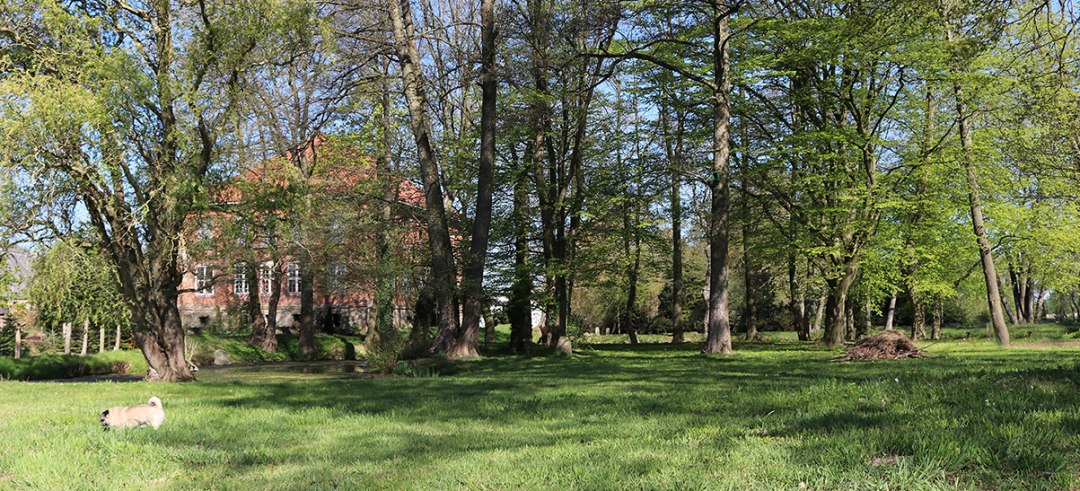Widok z parku na dwór Goldenbow, © Herrenhaus Goldenbow