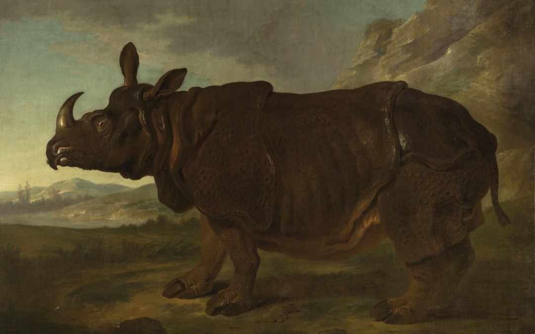 De neushoorn van Jean Baptiste Oudry, © Foto: G. Bröcker, Staatliches Museum Schwerin