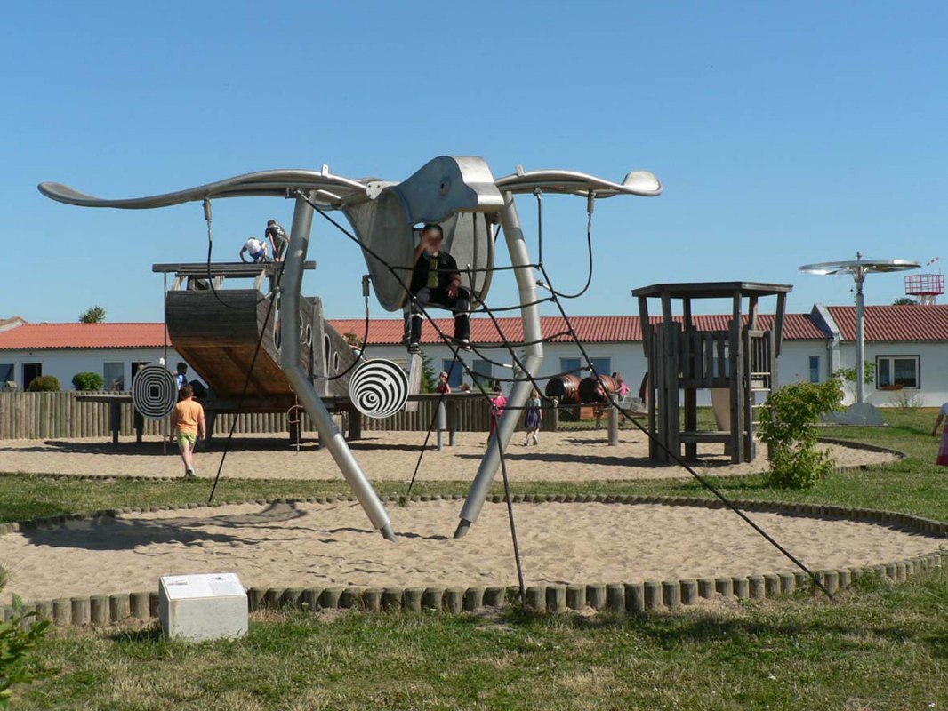 Ptak, z kt&oacute;rym można latać // &copy; Wittig