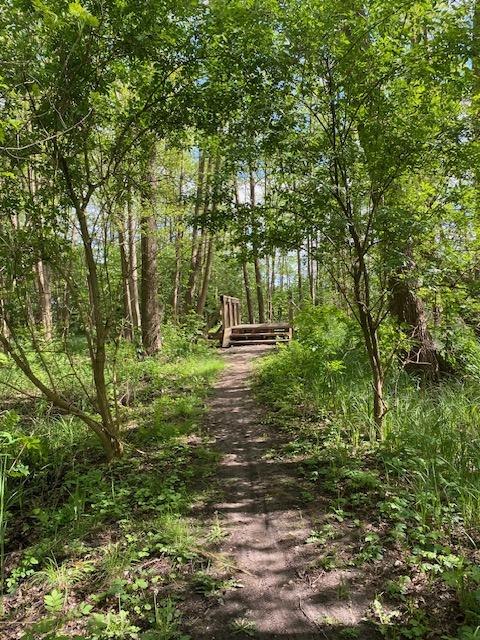 Bürgermeisterrundweg1, © Touristinformationen Wesenberg & Mirow, Mecklenburgische Kleinseenplatte