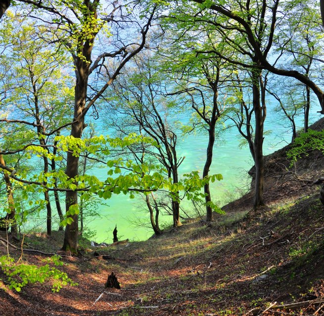 &copy; Nationalparkamt Vorpommern