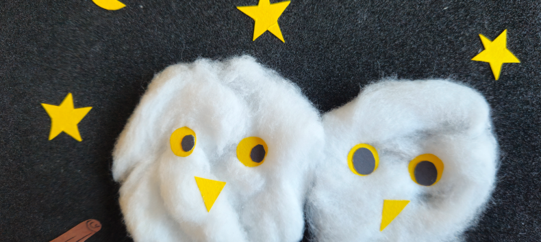 Owls see well at night, but do their eyes sparkle?, © EmiliaBahlke/Müritzeum Owls see well at night, but do their eyes sparkle?, © EmiliaBahlke/Müritzeum