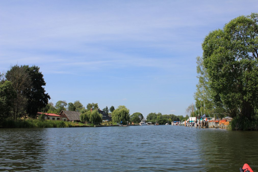 View from Kummerow Lake into the Peene River, © M. Kiauka