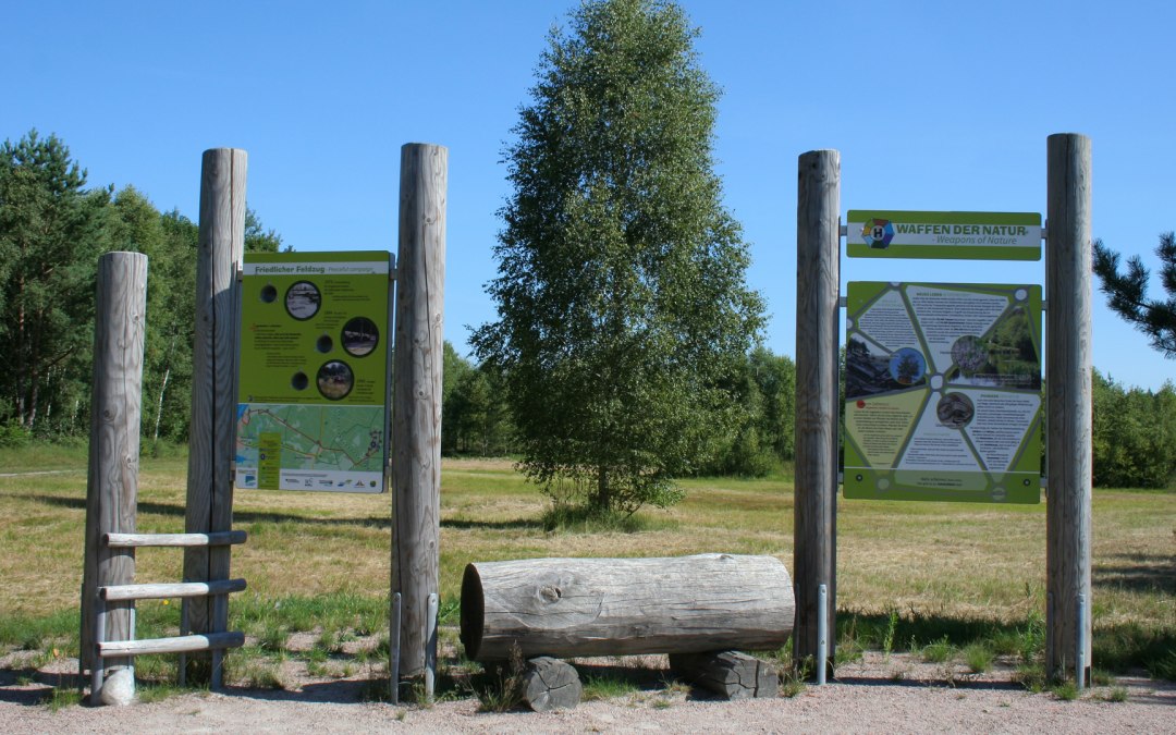 Biodiversiteitsontdekkingspad op de Rostocker Heide, © Stadtforstamt Rostock/K. Kuhr