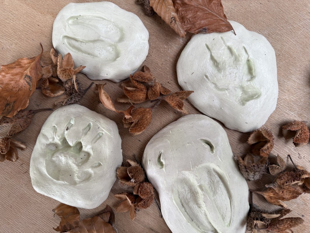 Winter workshop diersporen, &copy; Nationalpark-Zentrum K&Ouml;NIGSSTUHL