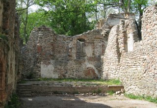 Umgeben von hohen Eichen ein verwunschener Platz im Landgrabenthal // &copy; Angelika Michaelis