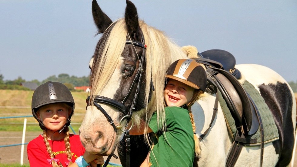 Konie i jazda konna na farmie przygód Kliewe // © Erlebnis-Bauernhof Kliewe/Susanne Kliewe Konie i jazda konna na farmie przygód Kliewe // © Erlebnis-Bauernhof Kliewe/Susanne Kliewe