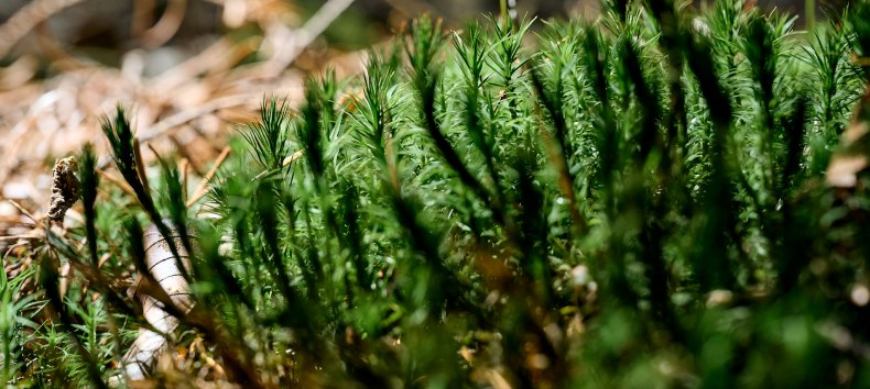 © burwitz © burwitz