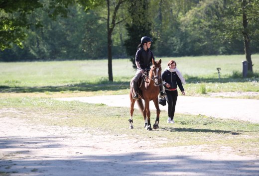 Het is nooit te laat om te leren rijden, © TMV/Pantel