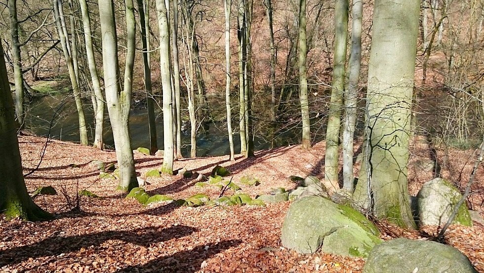 Rotsen van verschillende grootte zijn te vinden in de Warnow-doorbraakvallei, © TMV