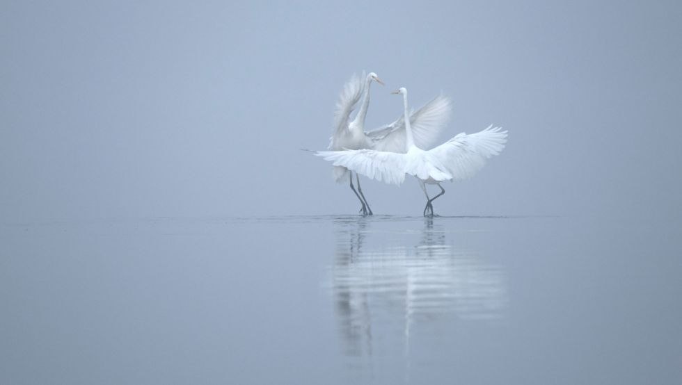 1, &copy; Monika Lawrenz