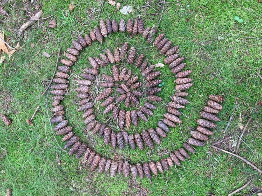 Bosexcursie & natuurbeleving voor het hele gezin, © 3.jpg