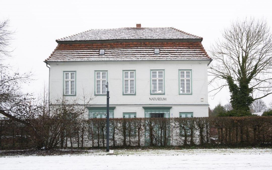 _SAM6874, © Stadt Ludwigslust