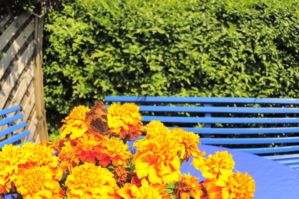 Sitting area in the garden in front of the vacation room, © Kleines Fischerhaus Sitting area in the garden in front of the vacation room, © Kleines Fischerhaus