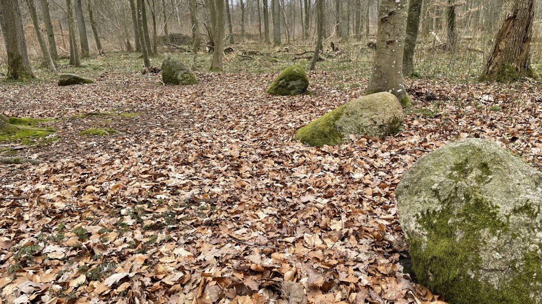 Kamienie Apostoła 1, © TZ Südliche Boddenküste