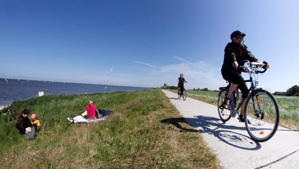 Ciesz się fantastycznymi widokami na Park Narodowy Vorpommersche Boddenlandschaft podczas jazdy na rowerze. // © MV-T/Raff Ciesz się fantastycznymi widokami na Park Narodowy Vorpommersche Boddenlandschaft podczas jazdy na rowerze. // © MV-T/Raff