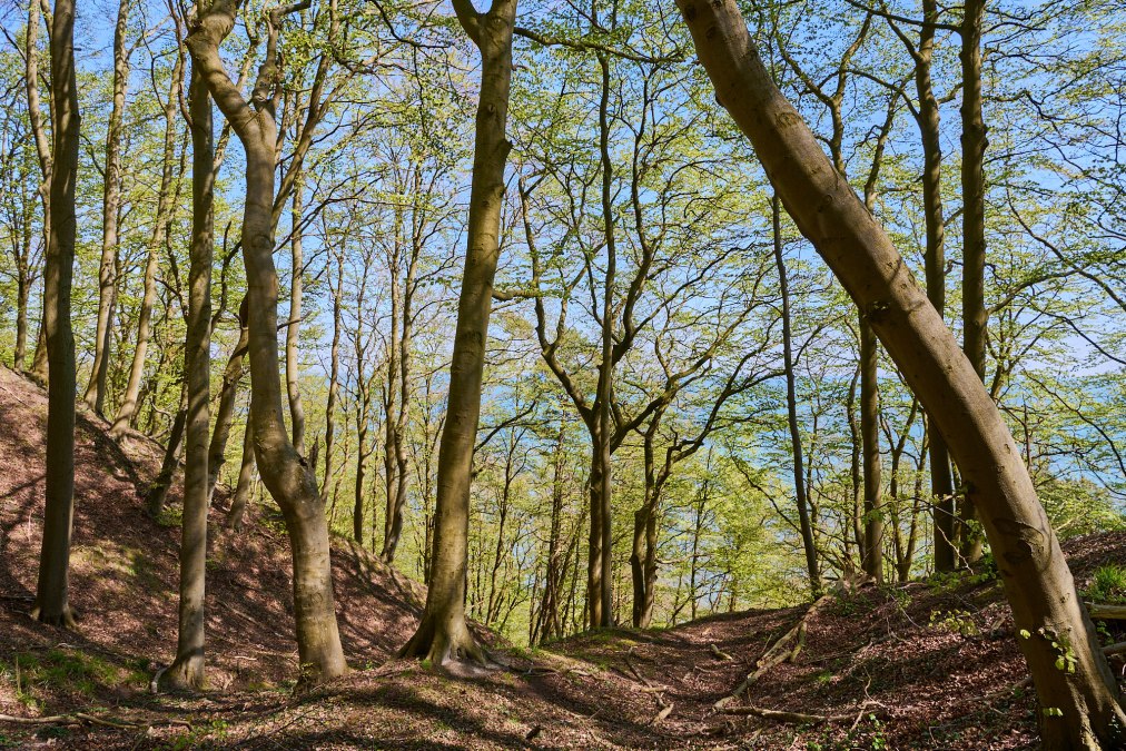 20230508-Granitz-13-Foto-Burwitz-Pocha, © Burwitz Pocha