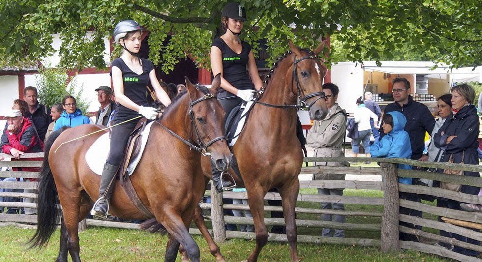 Vandaag de dag draait alles in het openluchtmuseum Klockenhagen om paarden. // © Freilichtmuseum Klockenhagen Vandaag de dag draait alles in het openluchtmuseum Klockenhagen om paarden. // © Freilichtmuseum Klockenhagen