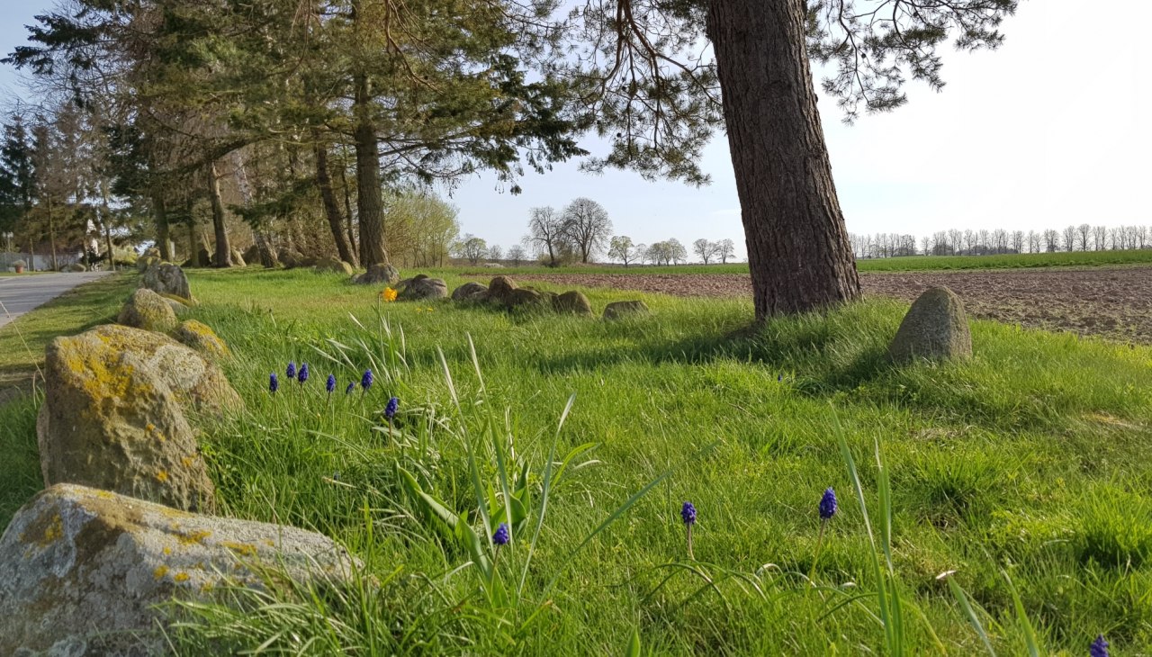Łóżko kurhanowe Stralendorf, © Tourismusverband Mecklenburg-Schwerin