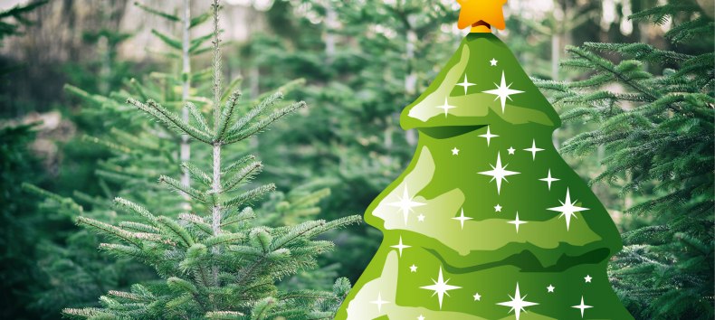 &copy; Stadtmarketing Ribnitz-Damgarten