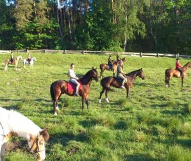 Mit dem Verein MP Horse Stables Dobbertin einen Wanderritt in der Gruppe genießen // © MP Horse Stables Dobbertin/ Maria Michaelis Mit dem Verein MP Horse Stables Dobbertin einen Wanderritt in der Gruppe genießen // © MP Horse Stables Dobbertin/ Maria Michaelis