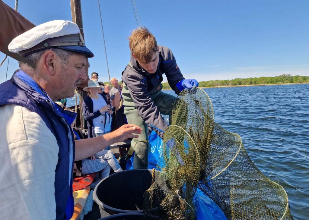 Afbeelding-9-1024x768 IMX, &copy; Fischereibetrieb Maik Never