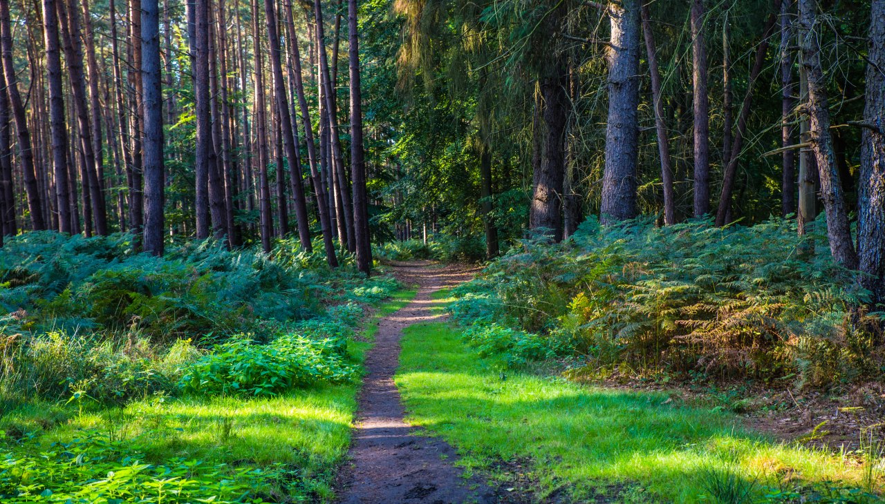 &copy; insel-fotograf.eu, Andreas Dumke