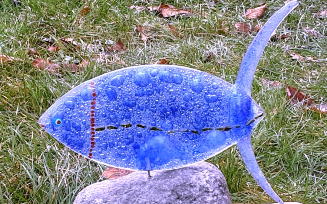 Bubble fish, © Regina Lüdecke
