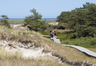 © Nationalparkamt Vorpommern © Nationalparkamt Vorpommern