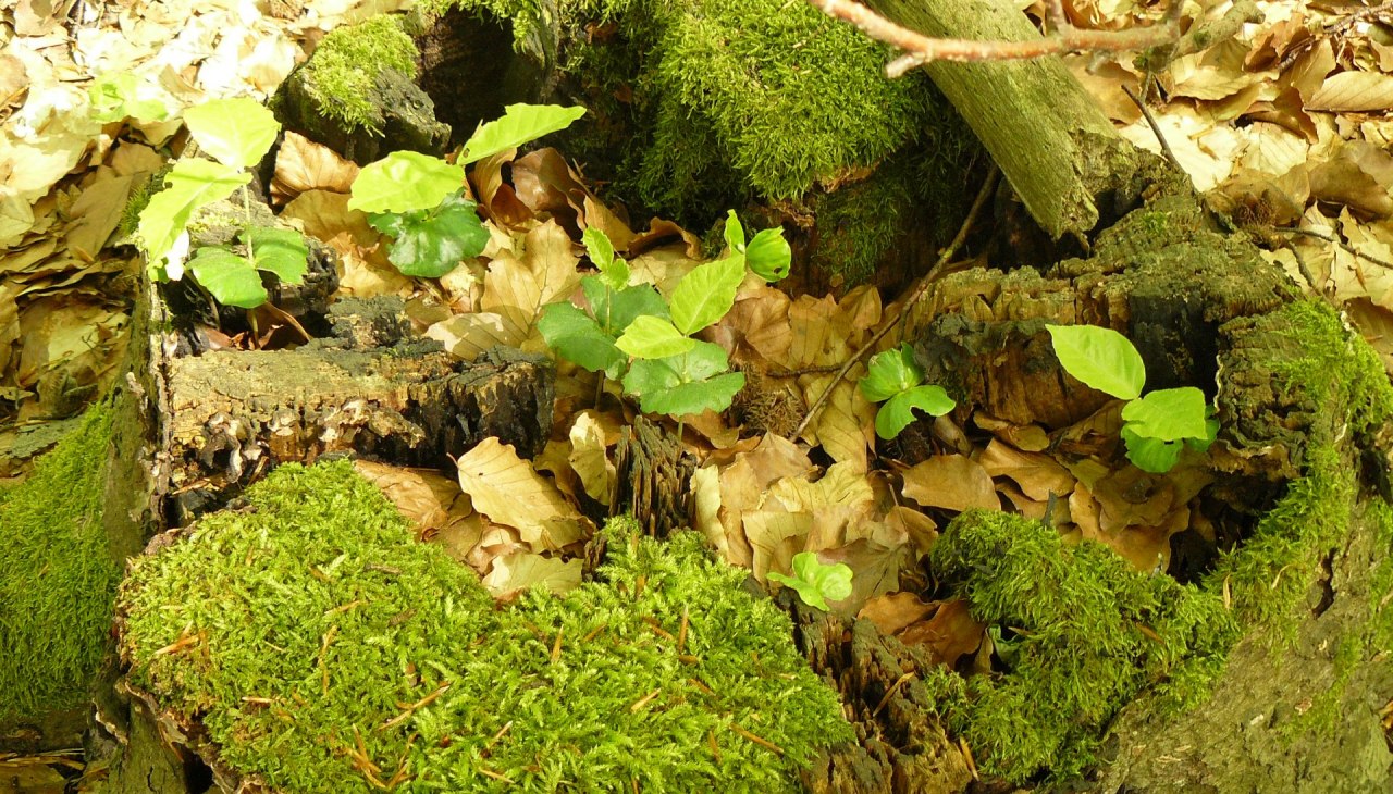 wanderung-um-den-truennsee-1, © Bianca Schubert wanderung-um-den-truennsee-1, © Bianca Schubert