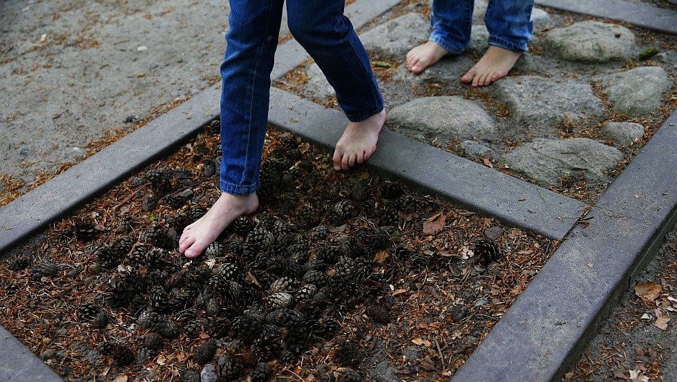 Blotevoetenpad Graal-Müritz, © TMV/outdoor-visions.com