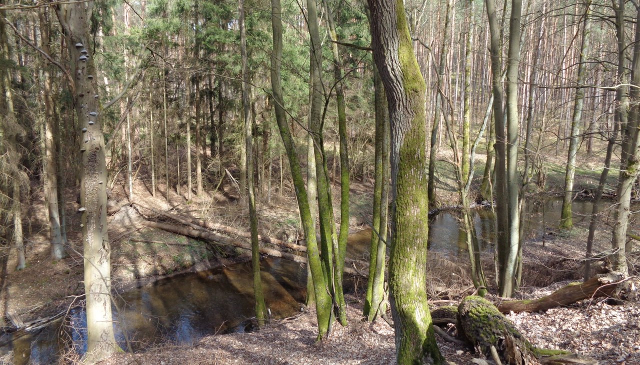 küstrinchenbach, © Britta Daedelow-Seydl