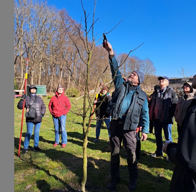 Thomas Franiel demonstrates how to prune fruit trees., &copy; Jan LIppke