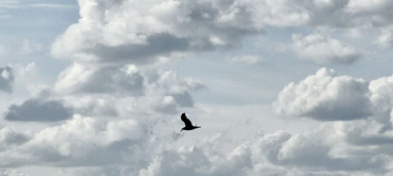 © Katrin Sander © Katrin Sander