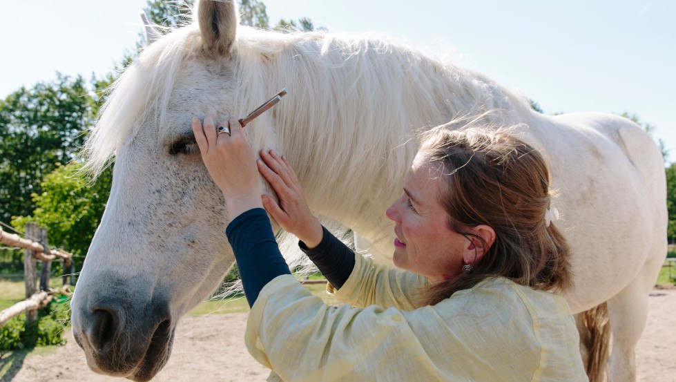 Sabine Schnabel - SOUND FOR HORSES: Acupuncture points and GOOD VIBRATIONS..., © Anika Büssemeier