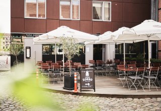 © Senor Zorro_Tommy Hetzel © Senor Zorro_Tommy Hetzel