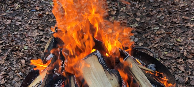 &copy; Stadtmarketing Ribnitz-Damgarten