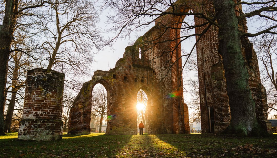 Stralen zonlicht vallen door de bakstenen bogen van de kloosterruïne Eldena in Greifswald en werpen warme lichtsporen op het gras. // Warm licht overspoelt de kloosterruïnes van Eldena in Greifswald en brengt de historische plek tot leven terwijl de dag zachtjes ten einde loopt. // © MV-T/Gross Stralen zonlicht vallen door de bakstenen bogen van de kloosterruïne Eldena in Greifswald en werpen warme lichtsporen op het gras.