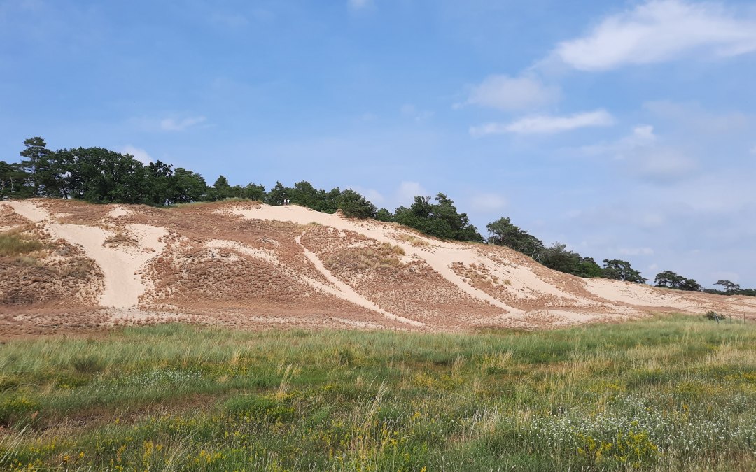 Duin Klein Schmölen, © M. Lenthe