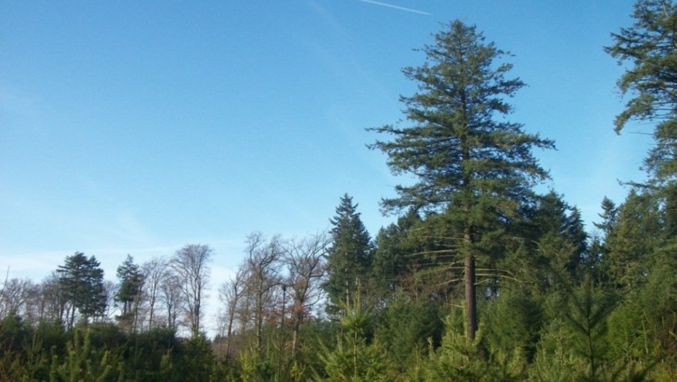 © Foto: Stadt Parchim © Foto: Stadt Parchim